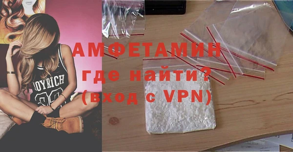 индика Горняк