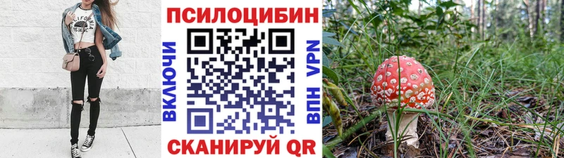 магазин продажи   Новомичуринск  Галлюциногенные грибы ЛСД 
