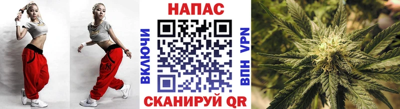 Бошки Шишки план где найти Новомичуринск